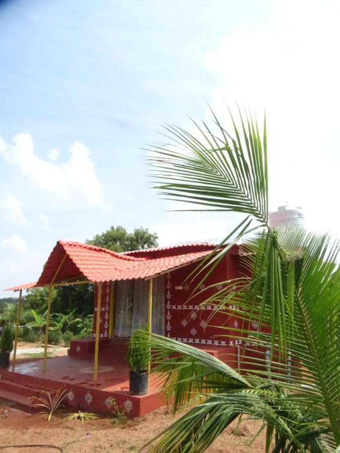 היידראבד Mangohut Farmhouse Pool Villa מראה חיצוני תמונה
