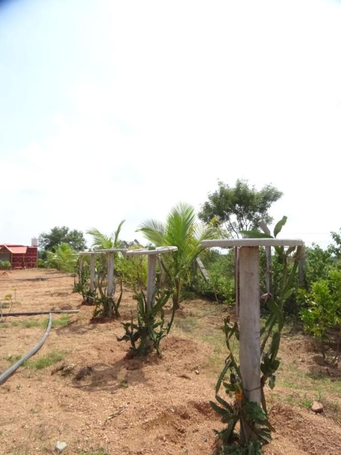 היידראבד Mangohut Farmhouse Pool Villa מראה חיצוני תמונה